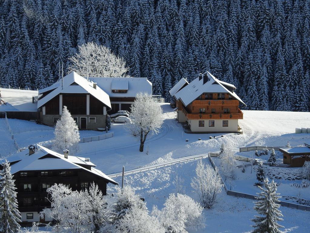 Apartament Der Hoferbauer Bad Kleinkirchheim Zewnętrze zdjęcie