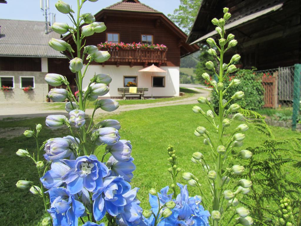 Apartament Der Hoferbauer Bad Kleinkirchheim Zewnętrze zdjęcie
