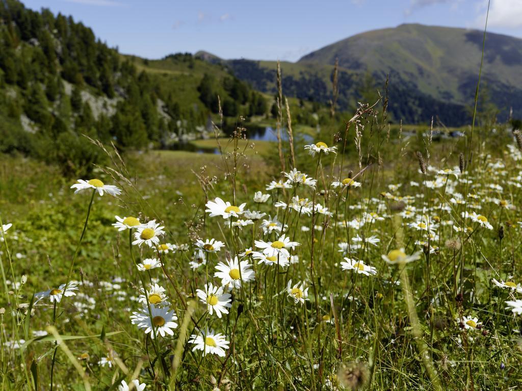 Apartament Der Hoferbauer Bad Kleinkirchheim Zewnętrze zdjęcie
