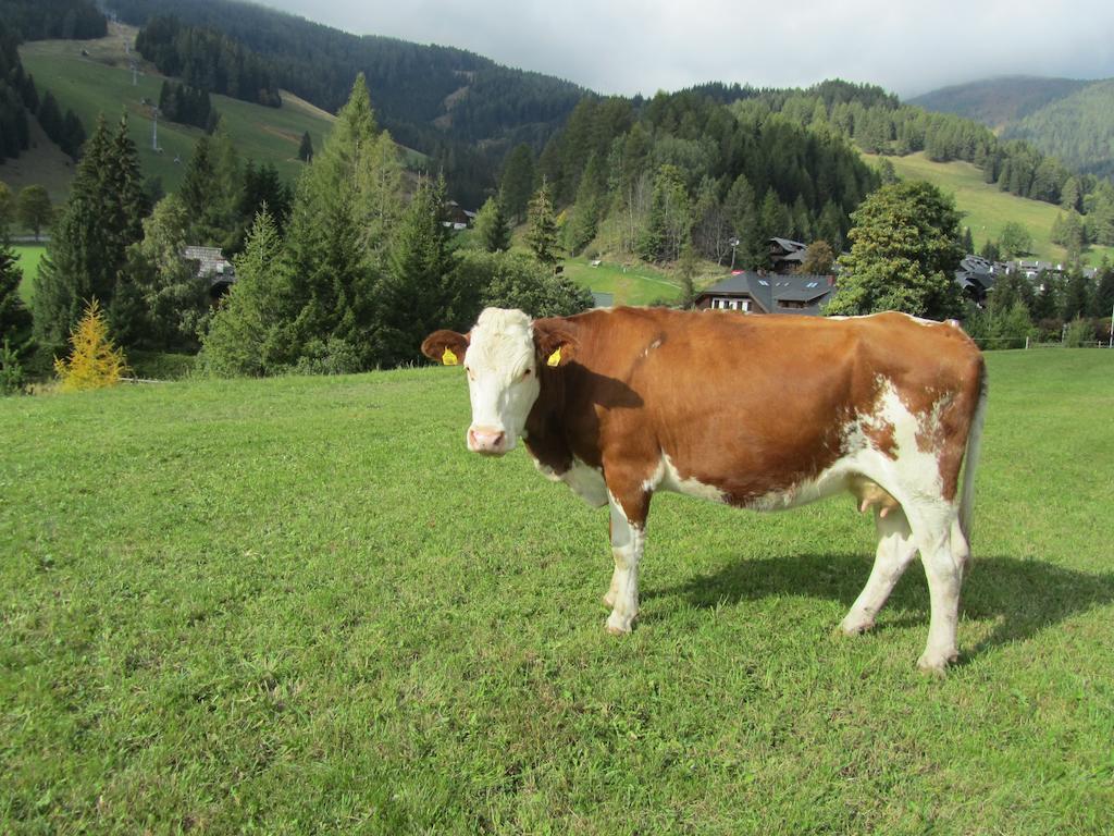 Apartament Der Hoferbauer Bad Kleinkirchheim Zewnętrze zdjęcie